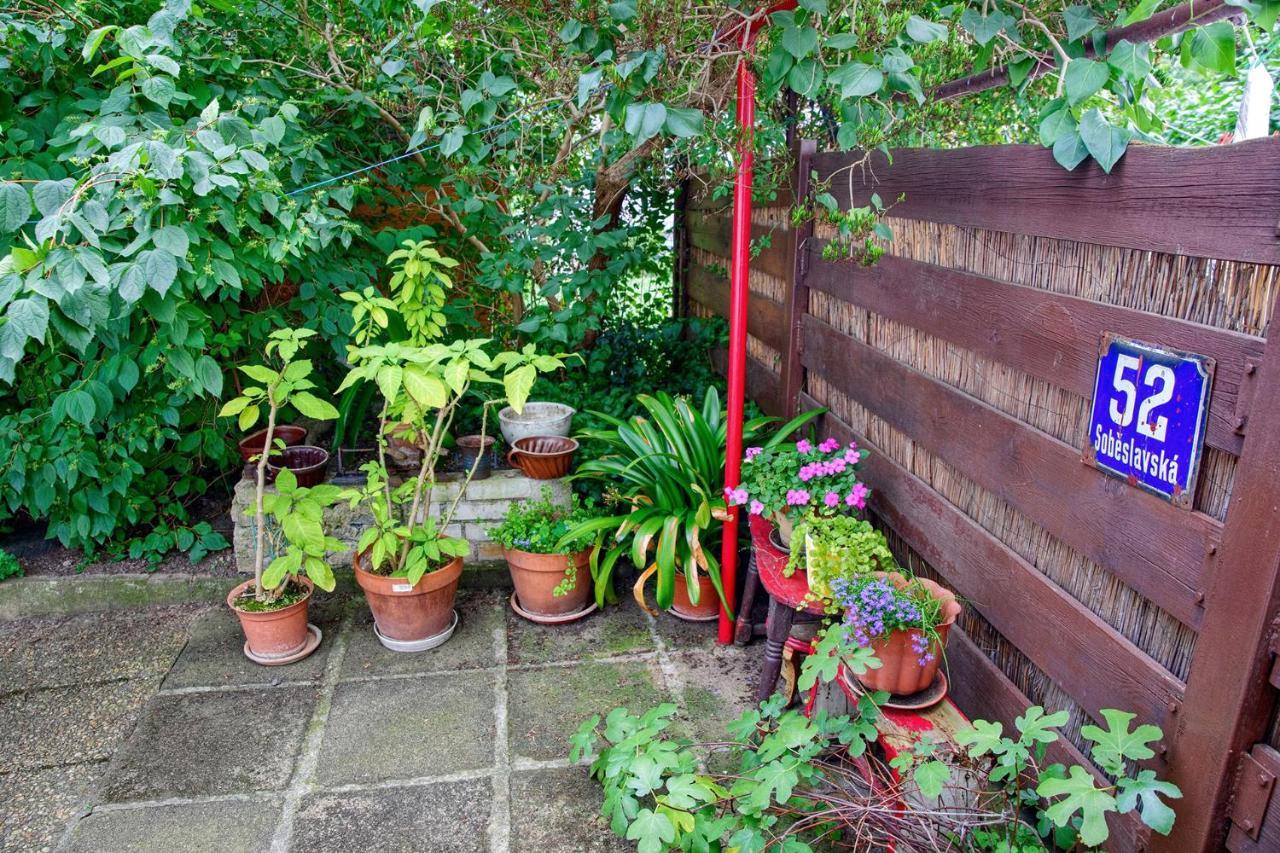 Garden In The Apartmán *